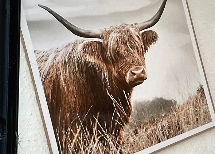 Plaetzchen Am Krebsberg * Simmerath